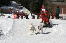 San Bernardino 2008